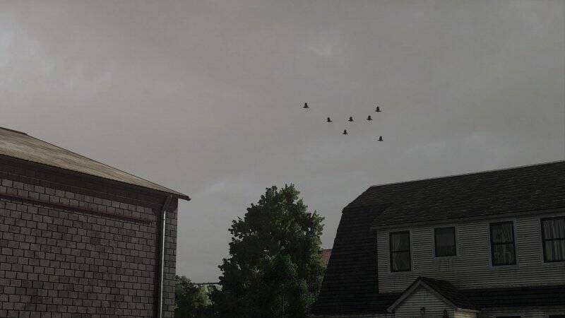 Real Sky - Thumbnail 1