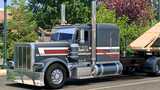 New Hope Transport Skin for SCS 389 Mod Thumbnail
