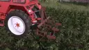 Lizard Jawor Potato Weeder
