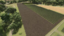 Auto Grove