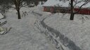 Real Snow