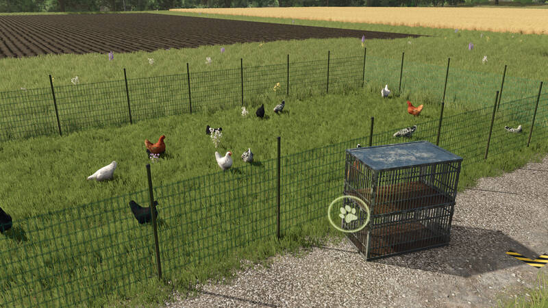 Chicken Transport Cage - Thumbnail 1