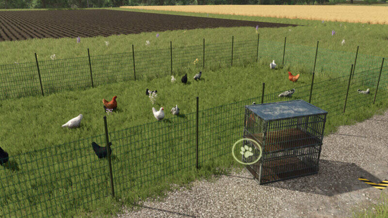 Chicken Transport Cage - Thumbnail 1