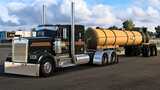Jade Transport Skin for Moiza Mods Kenworth W900 L/B Mod Thumbnail
