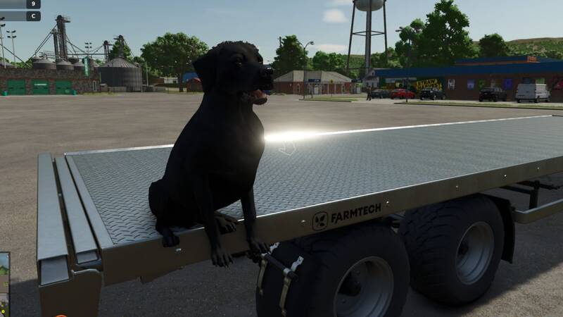 Dog Companion - Thumbnail 1