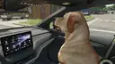 Dog Companion