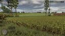 Crop Converter