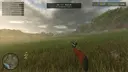 Wild Boar Hunting