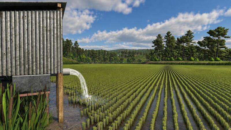 Rice Field Control - Thumbnail 1