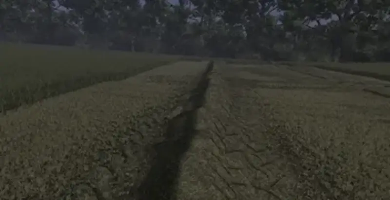 Grass Texture