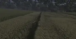 Grass Texture