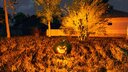 Halloween-Kürbisjagd