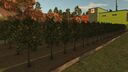 Fruit Orchards