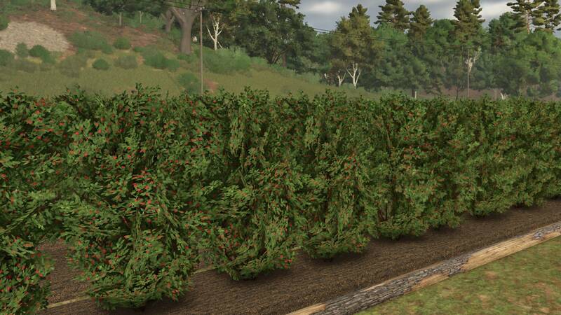 Fruit Orchards - Thumbnail 1