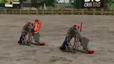 Forestry Triangle for Tractors with Chainsaw Holder Mod Thumbnail