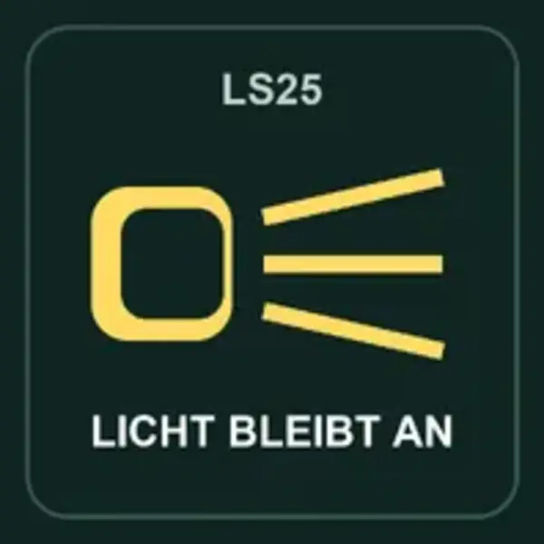 Helfer behält Fahrzeugbeleuchtung an (Beta) - Thumbnail 1