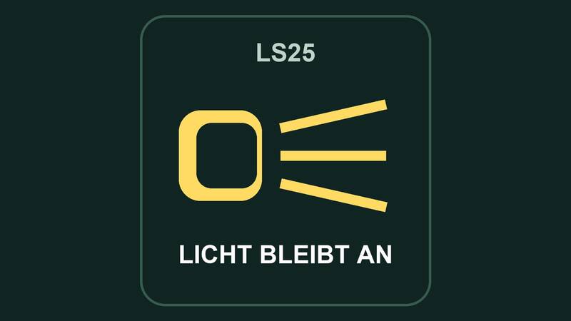 Helfer lässt Fahrzeugbeleuchtung an - Thumbnail 1